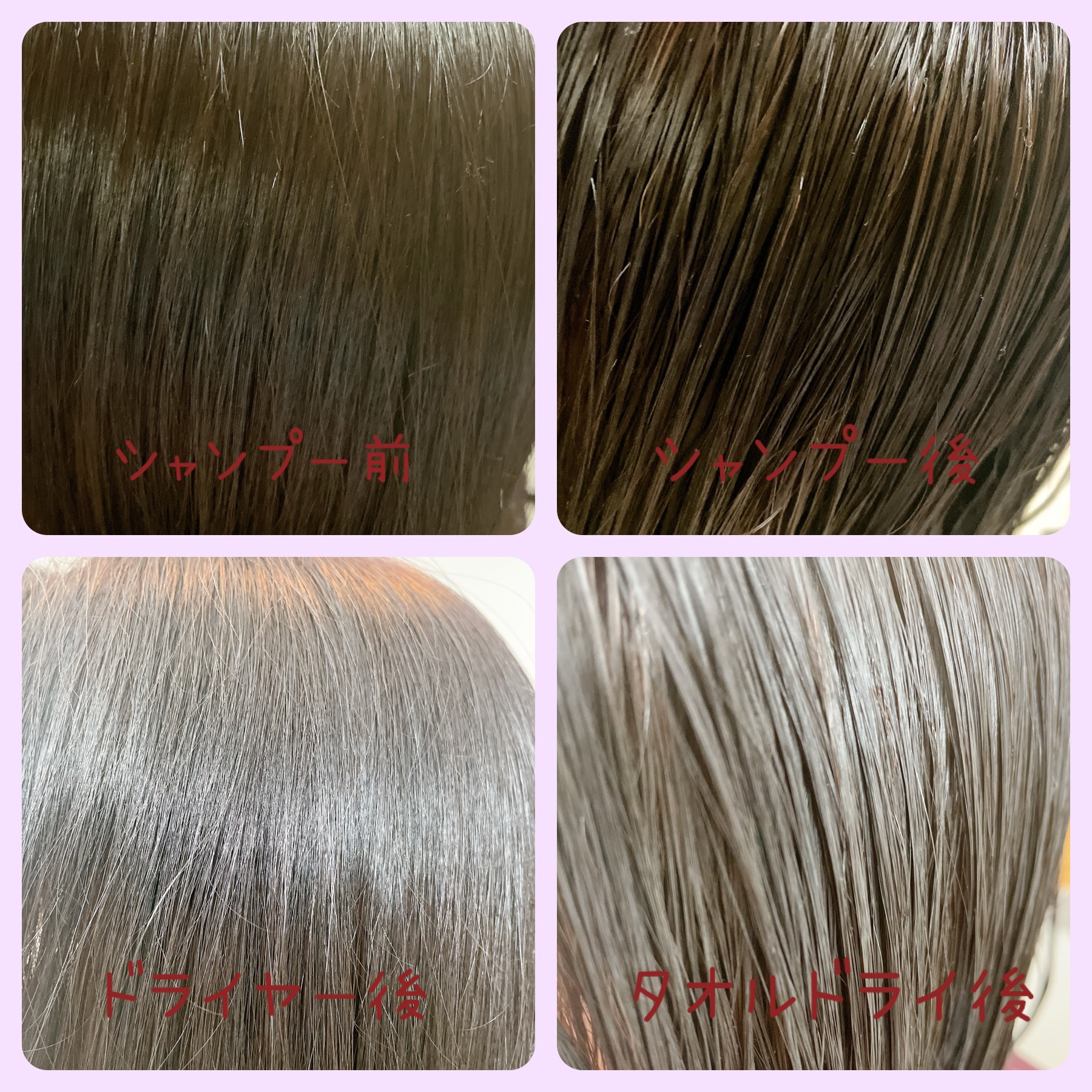 セラブルーチンシャンプー/Epunol/市販シャンプーを使ったクチコミ（3枚目）