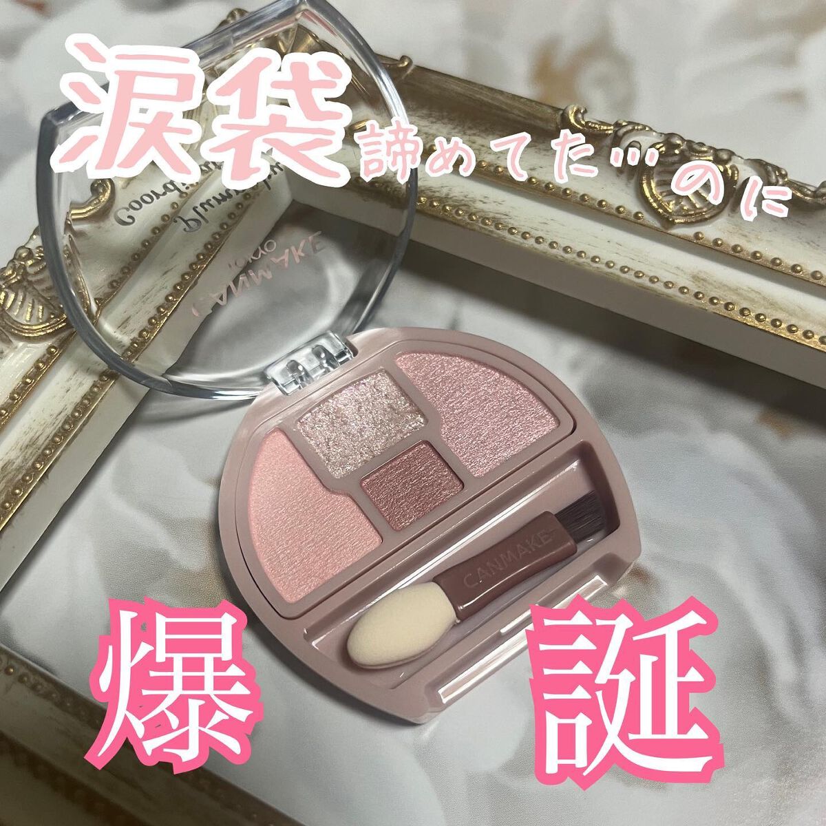 プランぷくコーデアイズ/キャンメイク/パウダーアイシャドウを使ったクチコミ(1枚目)