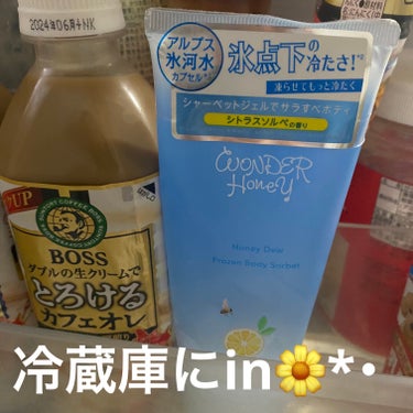 ワンダーハニー フローズンボディソルベ/VECUA Honey/ボディクリームを使ったクチコミ（4枚目）