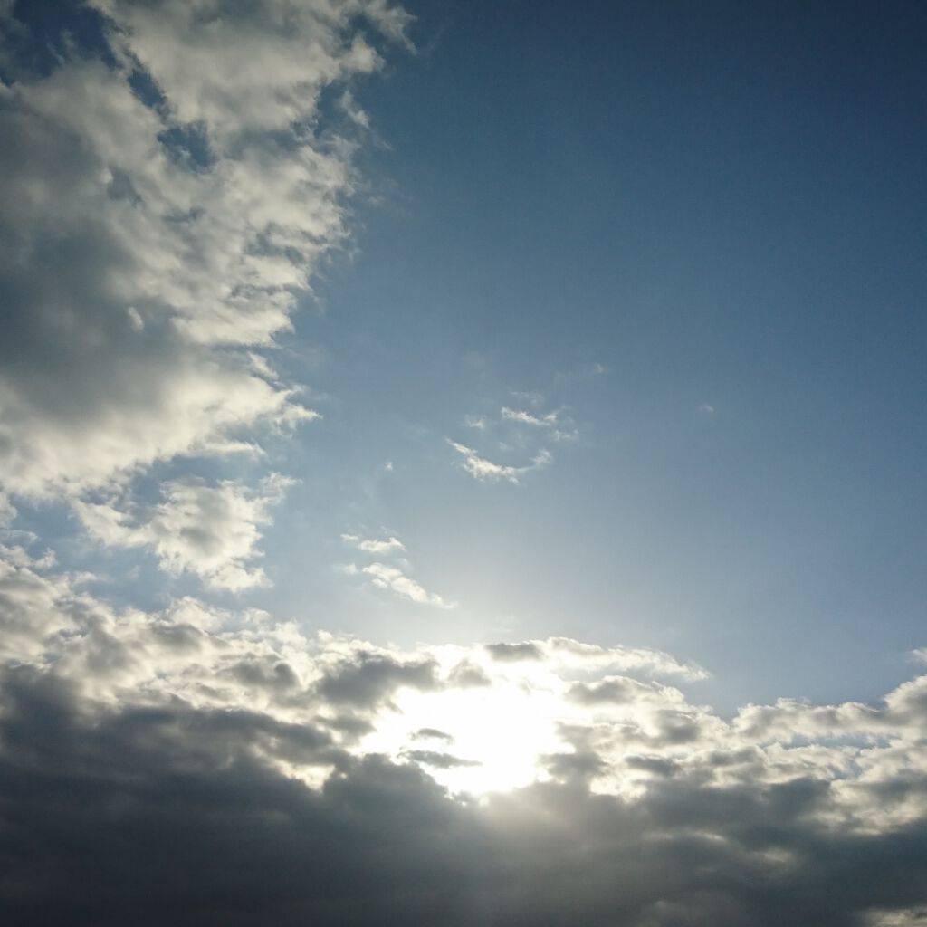 ハトムギ化粧水(ナチュリエ スキンコンディショナー R )/ナチュリエ/化粧水を使ったクチコミ(1枚目)