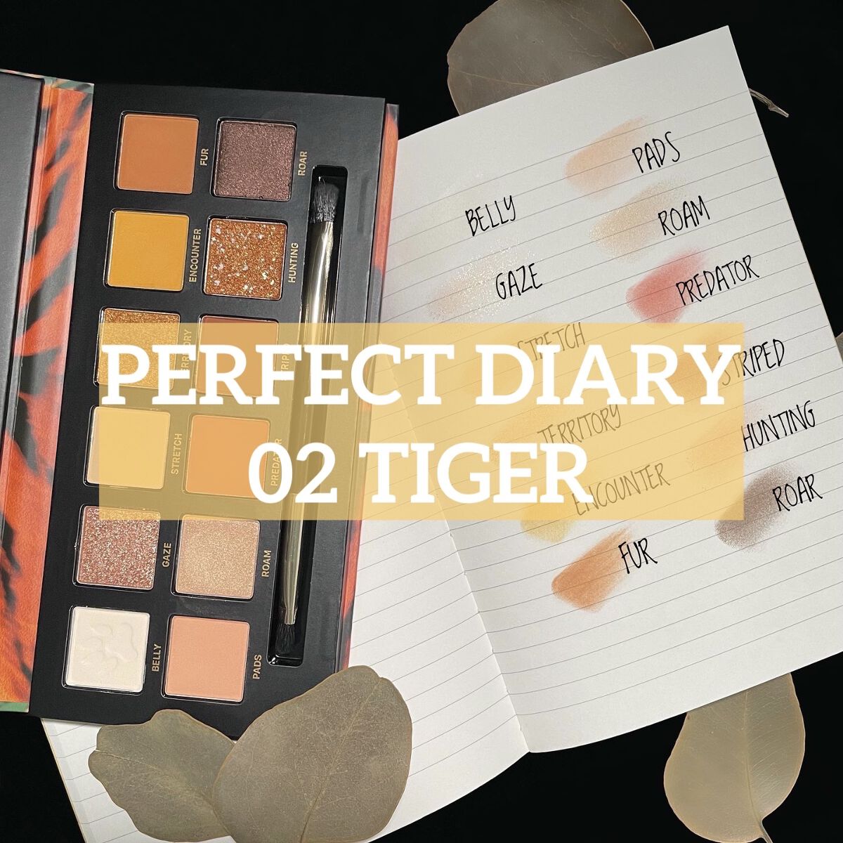 エクスプローラ12色 動物アイシャドウパレット/PERFECT DIARY/アイシャドウパレットを使ったクチコミ（1枚目）