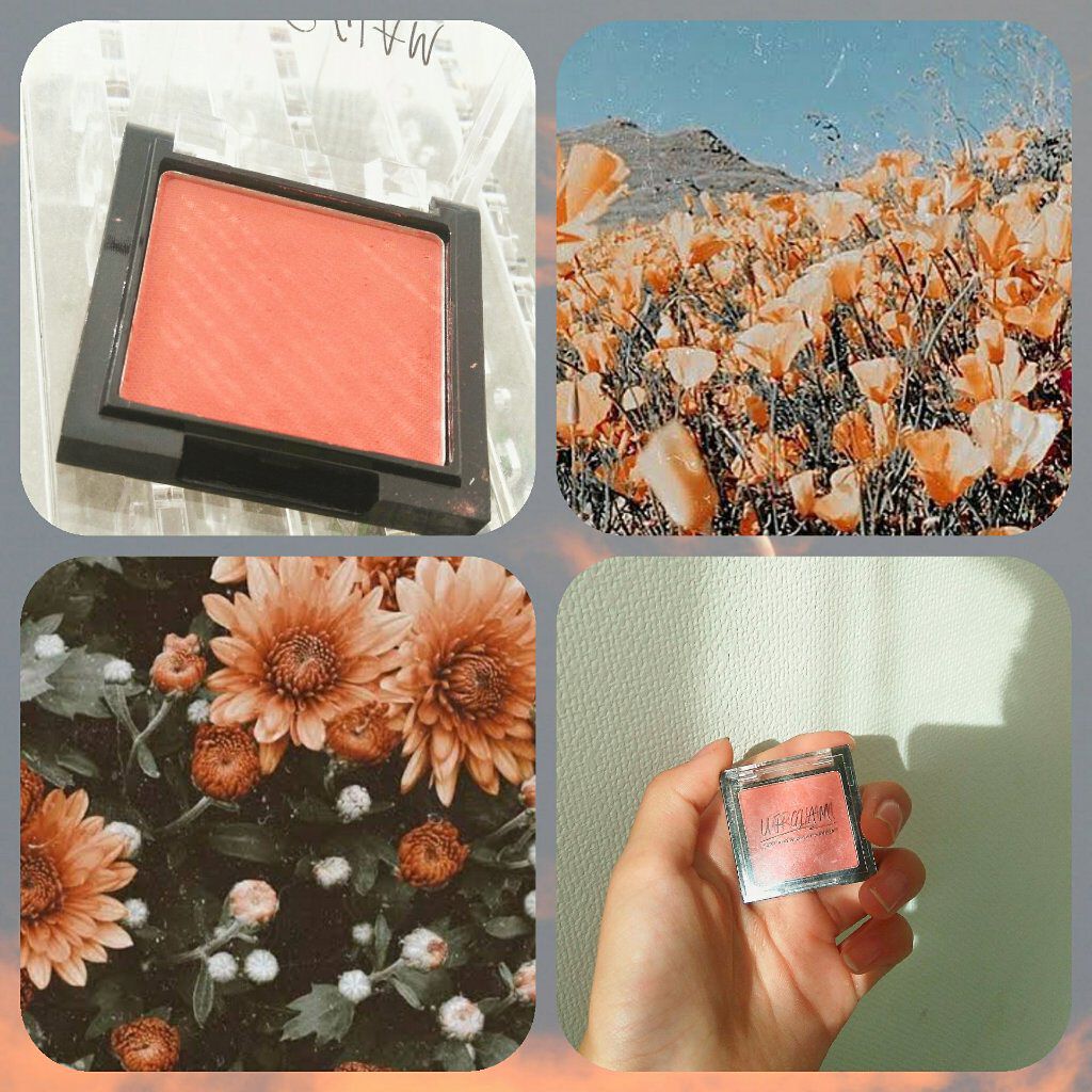 菜夏 on LIPS 「{秋メイクに使えそうなアイシャドウ/}投稿してなくてすみません..」(5枚目)