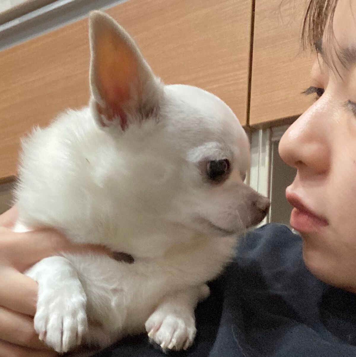 しに子ちゃん on LIPS 「鼻の中乾燥してガビガビなんだけど勘弁してくれねえかなの極み。唇..」(1枚目)