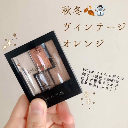 ヴィンテージモードアイズ/KATE/アイシャドウパレットを使ったクチコミ(1枚目)