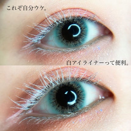 サラダdeフルーツカラーリキッドアイライナーWP/FLORTTE/リキッドアイライナーを使ったクチコミ(1枚目)