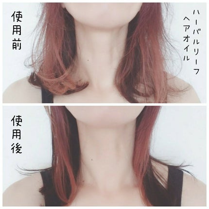 オーガニックヘアオイル フレッシュティーの香り/ハーバルリーフ/ヘアオイルを使ったクチコミ(3枚目)