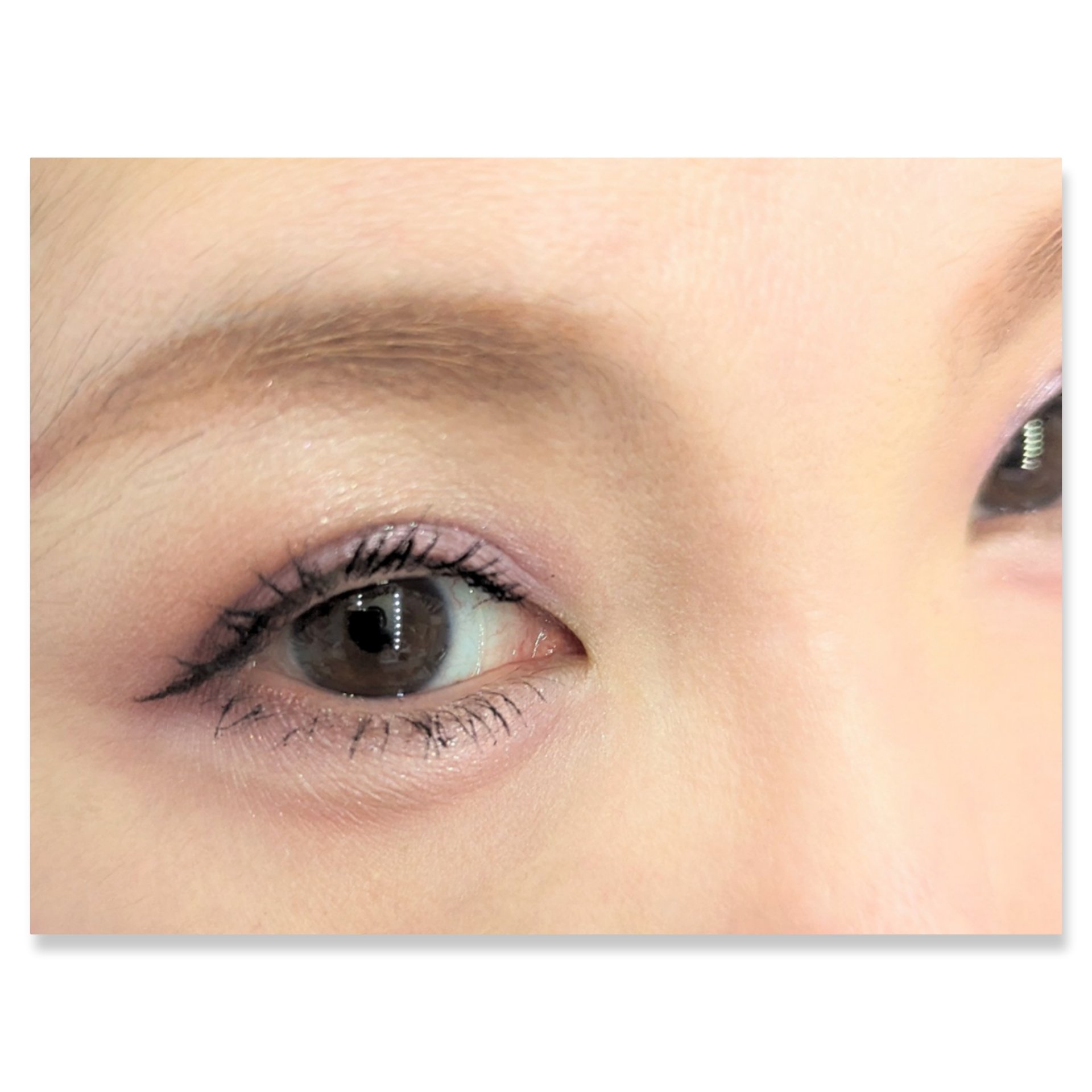 マルチアイシャドウパレット ベリーヨーグルト/MIRIMU/マルチパレットを使ったクチコミ（2枚目）