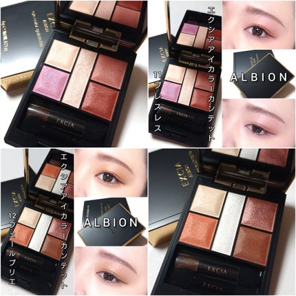 エクシア アイカラー カンテット/ALBION/アイシャドウパレットを使ったクチコミ(6枚目)