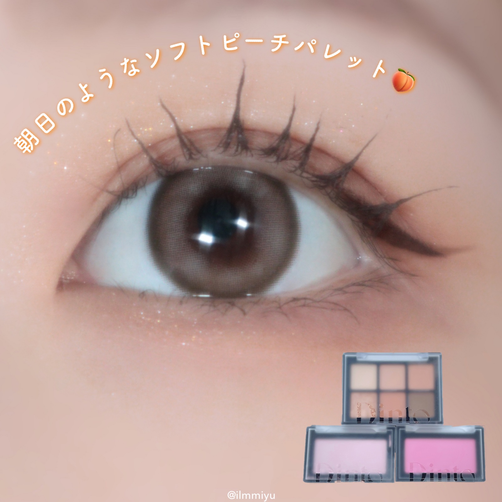 ブラーフィニシュシャドウパレット/Dinto/アイシャドウパレットを使ったクチコミ（1枚目）