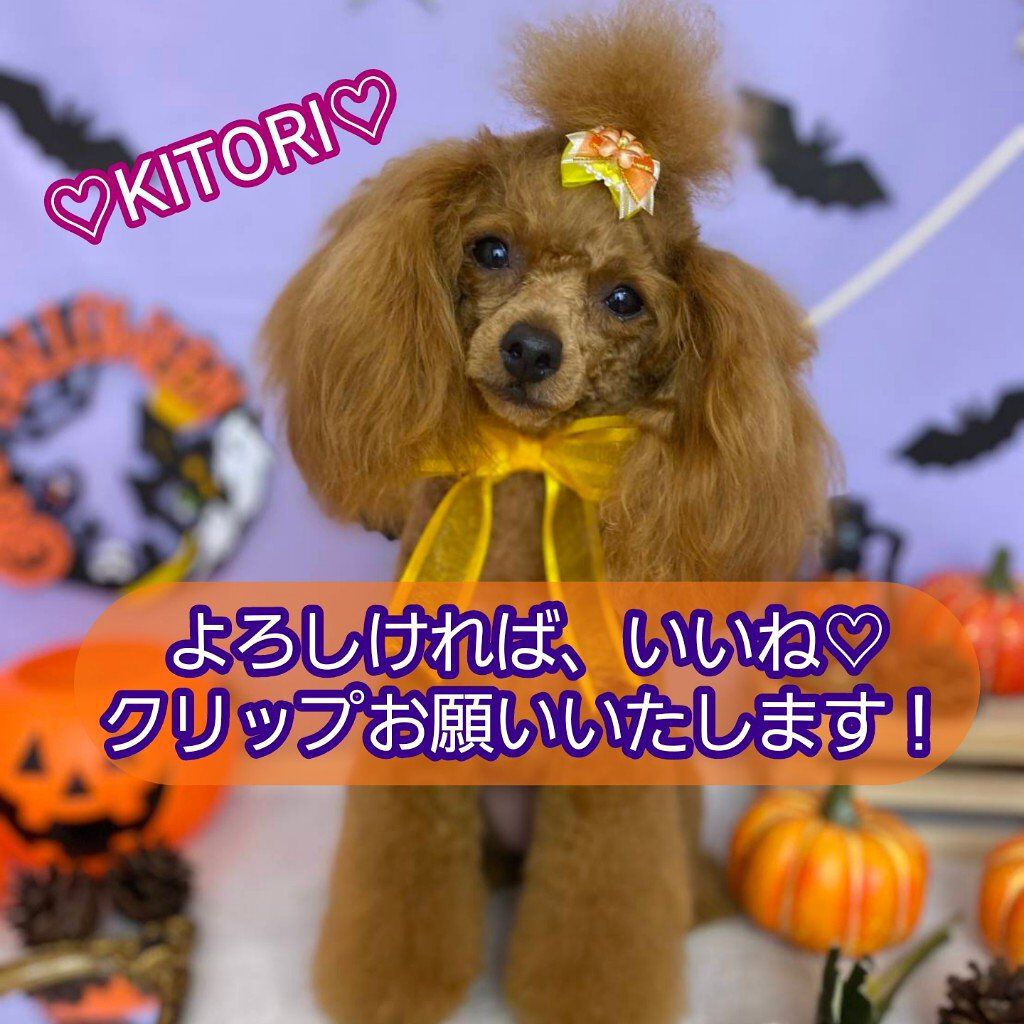 ざくろ アイクリーム/WELEDA/アイケア・アイクリームを使ったクチコミ（3枚目）