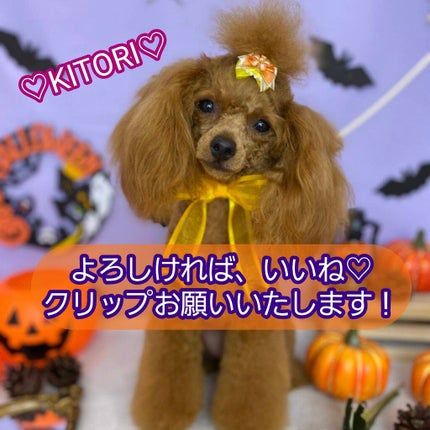 リップ マエストロ/ジョルジオ アルマーニ ビューティ/口紅を使ったクチコミ(4枚目)