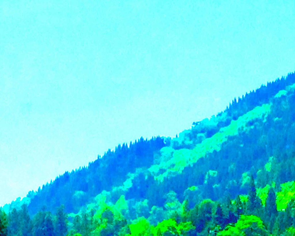 クイックイージーアイライナー/キャンメイク/リキッドアイライナーを使ったクチコミ（1枚目）