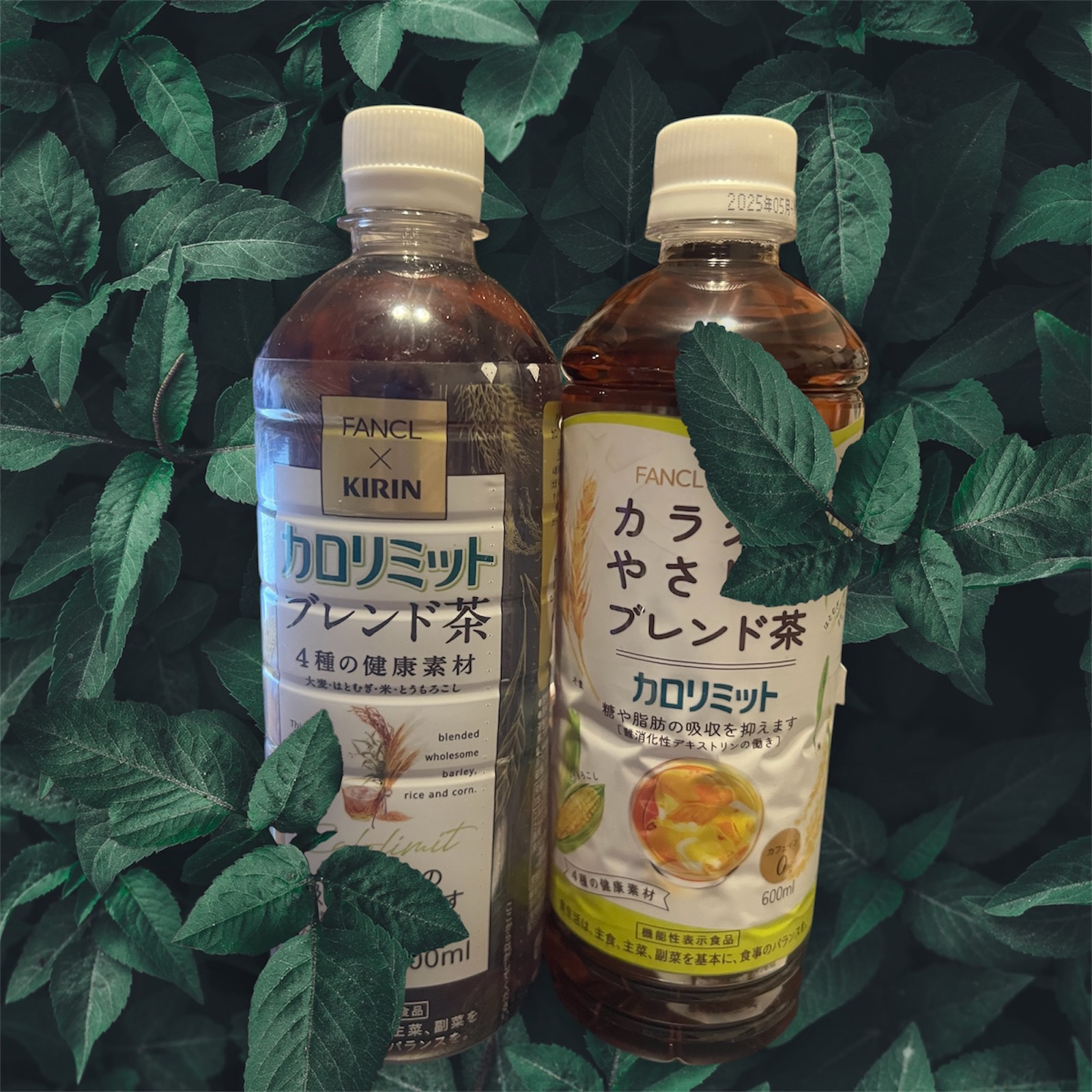 キリン×ファンケル カロリミット ブレンド茶/ファンケル/ドリンクを使ったクチコミ（1枚目）