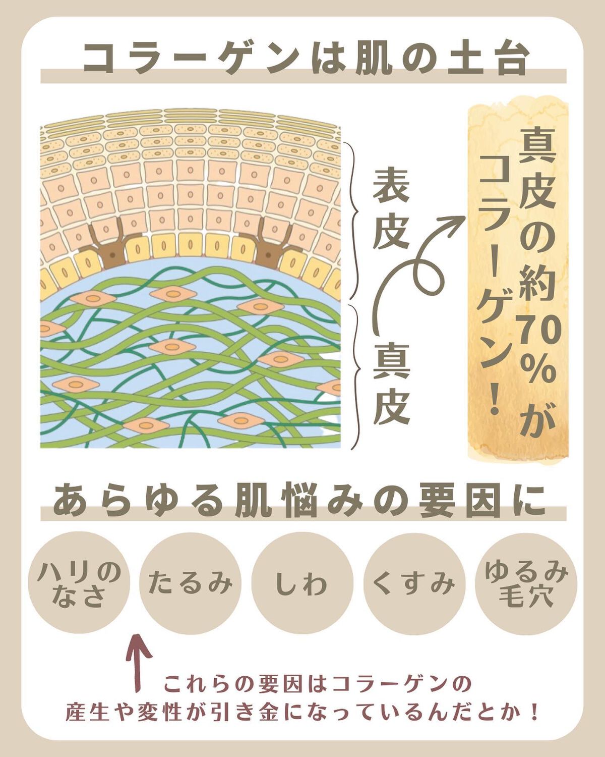 いとり。ザ・イエベアナリスト on LIPS 「【「資生堂BeautyTalk#いまコラーゲンを語りたい」に行..」(3枚目)