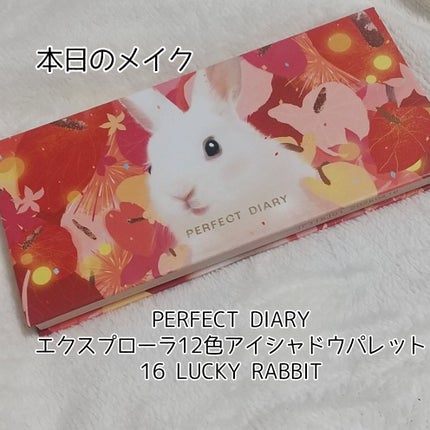 エクスプローラ12色 動物アイシャドウパレット/PERFECT DIARY/アイシャドウパレットを使ったクチコミ(1枚目)