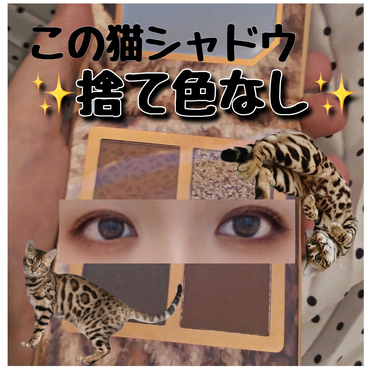 Venus Marble アイシャドウキャットシリーズ/Venus Marble/アイシャドウパレットを使ったクチコミ（1枚目）