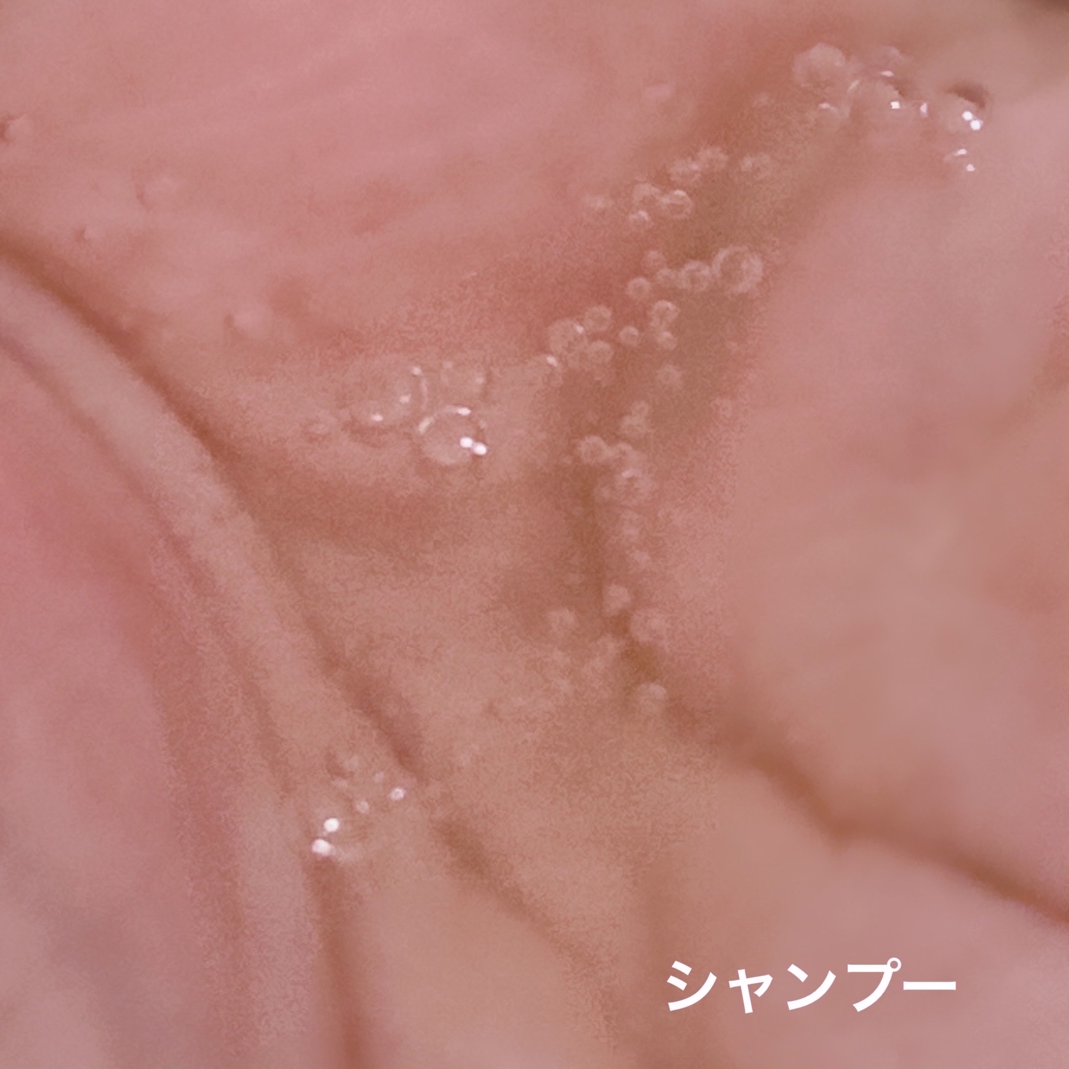 オイルインシャンプー／オイルインコンディショナー (グロス＆リペア)/ディアボーテ/市販シャンプーを使ったクチコミ（2枚目）