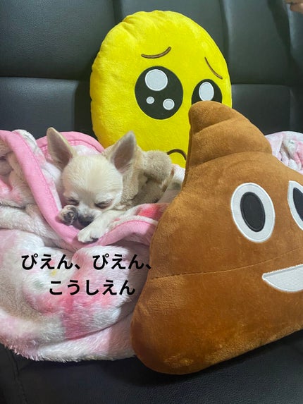 ヘアーマスク【ナチュラルカラー】/ellips/ヘアマスク・ヘアパックを使ったクチコミ(5枚目)