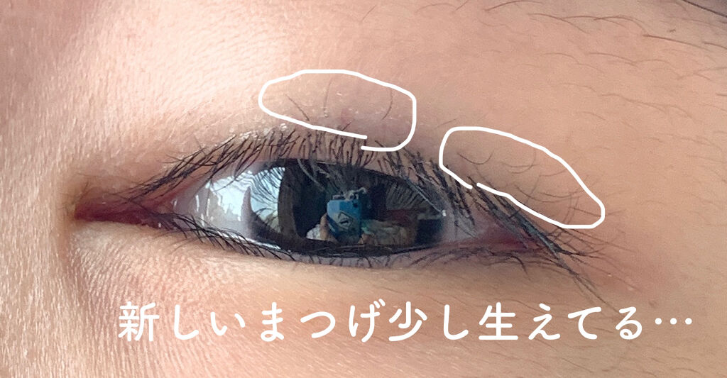 ハンオールラッシュセラム/rom&nd/まつげ美容液を使ったクチコミ（3枚目）