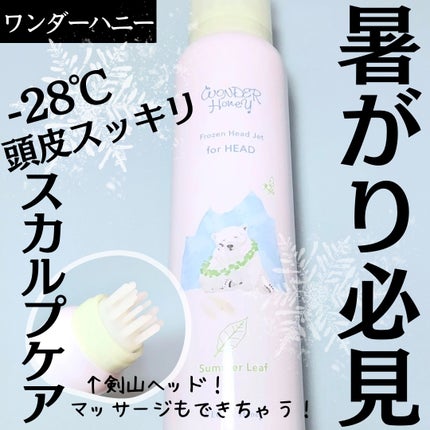 ワンダーハニー フローズンヘッドジェット サマーリーフ/VECUA Honey/頭皮ローションを使ったクチコミ(1枚目)