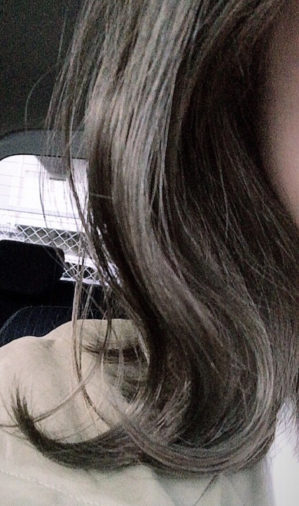 リストラティブ ブローアウトプライマー ファインヘア/ミルボン/ヘアミルクを使ったクチコミ（2枚目）