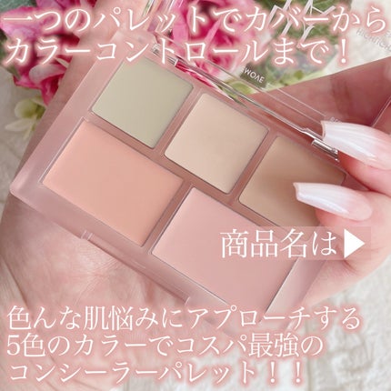 コンシールブレンダーパレット/LUNA/パレットコンシーラーを使ったクチコミ(2枚目)