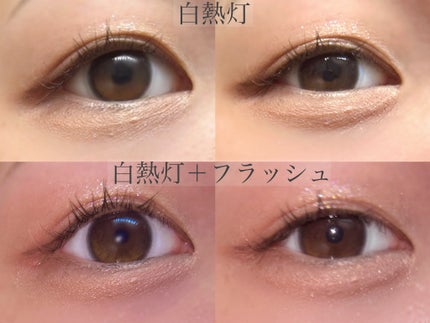 アイスカルプト/shu uemura/アイシャドウパレットを使ったクチコミ(4枚目)