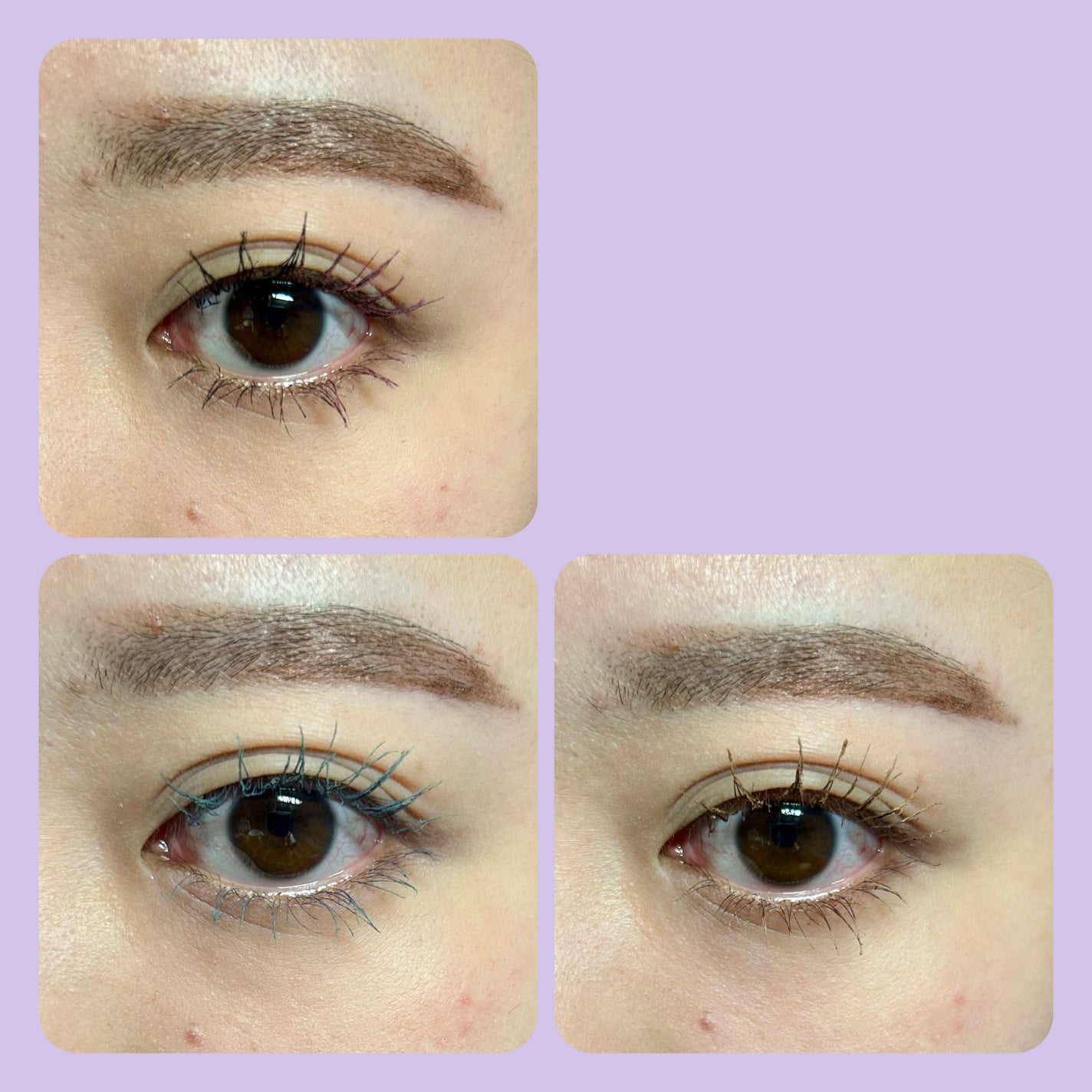 パーマネントカール マスカラ WP(ロング)/FASIO/マスカラを使ったクチコミ(2枚目)