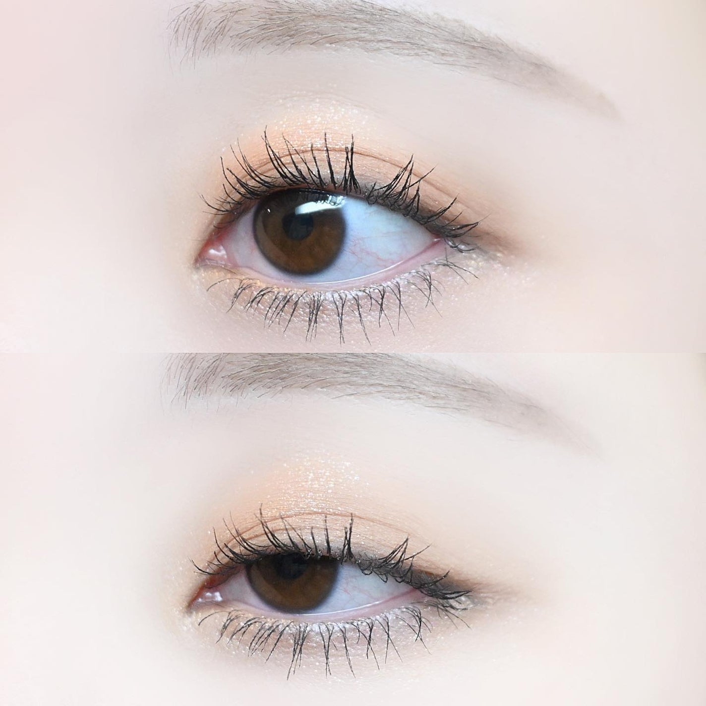 KEYBO FALL IN LOVE SHADOW PALETTE/keybo/アイシャドウパレットを使ったクチコミ(5枚目)