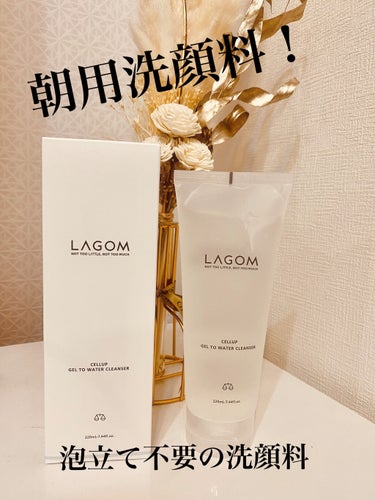 ラゴム ジェルトゥウォーター クレンザー(朝用洗顔)/LAGOM /洗顔フォームを使ったクチコミ（1枚目）