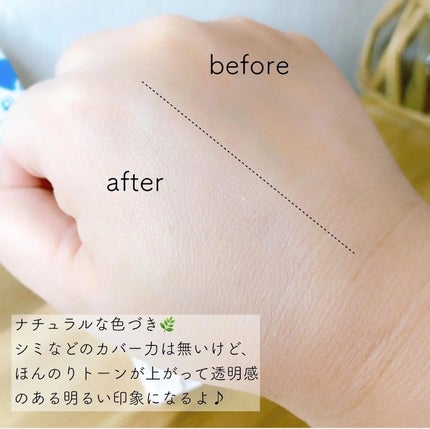 薬用フェイスプロテクトパウダー/IHADA/プレストパウダーを使ったクチコミ(4枚目)