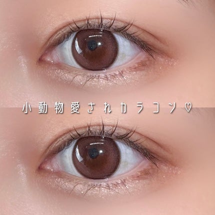 Mood Choco/Classilens/カラーコンタクトレンズを使ったクチコミ(1枚目)