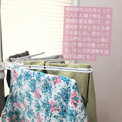 Airis(エアリス) 303 パティオ/ソフラン/柔軟剤を使ったクチコミ(6枚目)