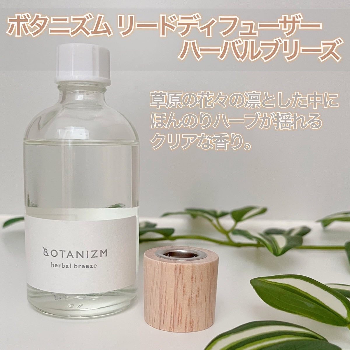 リードディフューザー ハーバルブリーズ/ボタニズム /香水(その他)を使ったクチコミ(3枚目)