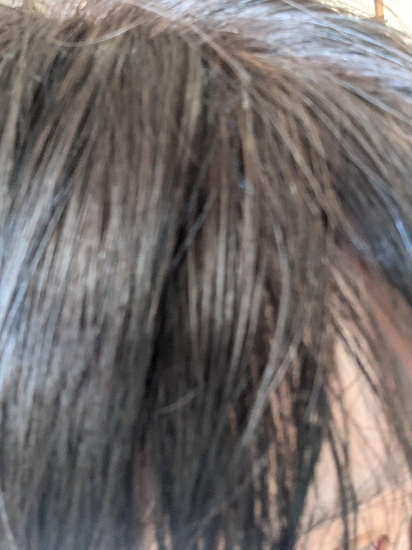 泡カラー/リーゼ/ヘアカラーを使ったクチコミ(9枚目)