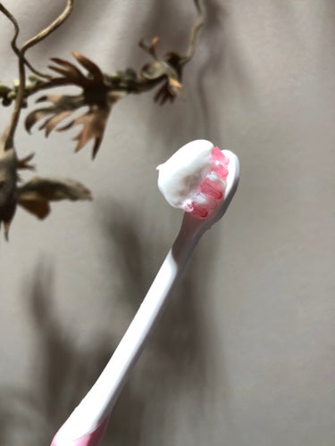 歯磨き堂 薬用ホワイトニングペースト プレミアム/歯磨き堂/歯磨き粉を使ったクチコミ（5枚目）