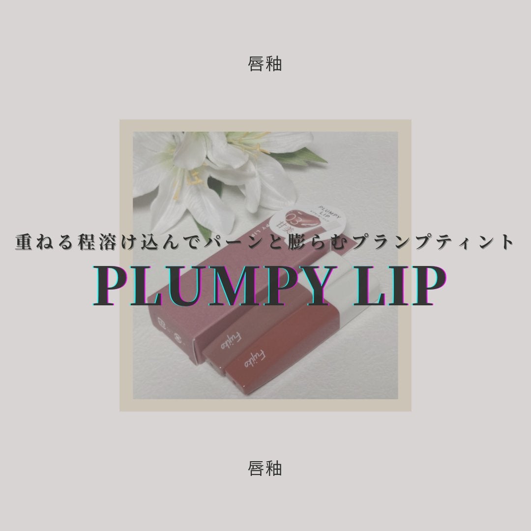 プランピーリップ/Fujiko/リップグロスを使ったクチコミ(1枚目)