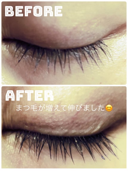 マジックティント/MAJOLICA MAJORCA/マスカラを使ったクチコミ(1枚目)