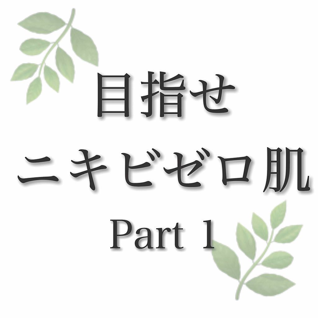 ハトムギ化粧水(ナチュリエ スキンコンディショナー R )/ナチュリエ/化粧水を使ったクチコミ（1枚目）