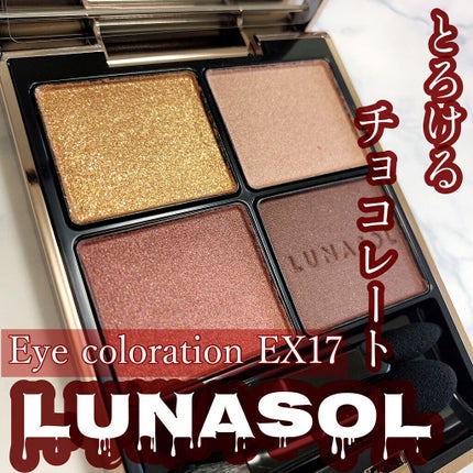 アイカラーレーション/LUNASOL/アイシャドウパレットを使ったクチコミ(1枚目)