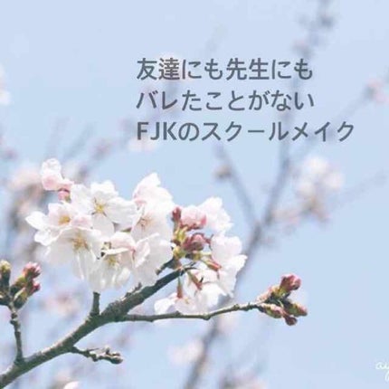 シークレットビューティーパウダー/キャンメイク/プレストパウダーを使ったクチコミ(1枚目)