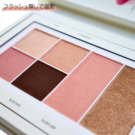エコ ビューティフル コレクション 2024 アイ& チークパレット ナチュラリービューティフル/bareMinerals/パウダーアイシャドウを使ったクチコミ(3枚目)