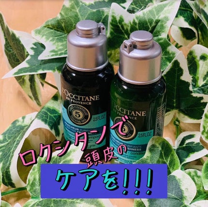 ファイブハーブス ピュアフレッシュネス シャンプー/コンディショナー/L'OCCITANE/市販シャンプーを使ったクチコミ(1枚目)