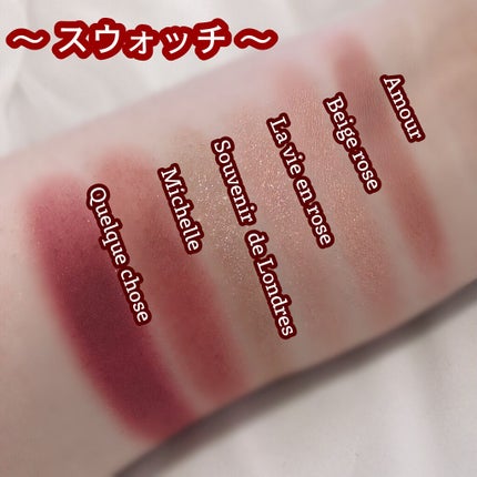 プロアイシャドウパレットセシル/CELEFIT/アイシャドウパレットを使ったクチコミ(5枚目)