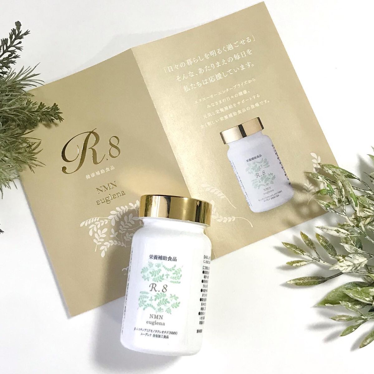  R.8 NMN euglena /R.8/健康サプリメントを使ったクチコミ（2枚目）