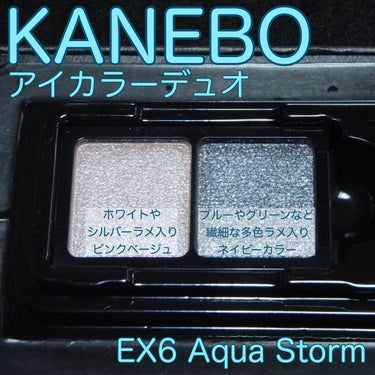 カネボウ アイカラーデュオ EX6 Aqua Storm/KANEBO/アイシャドウパレットを使ったクチコミ（2枚目）