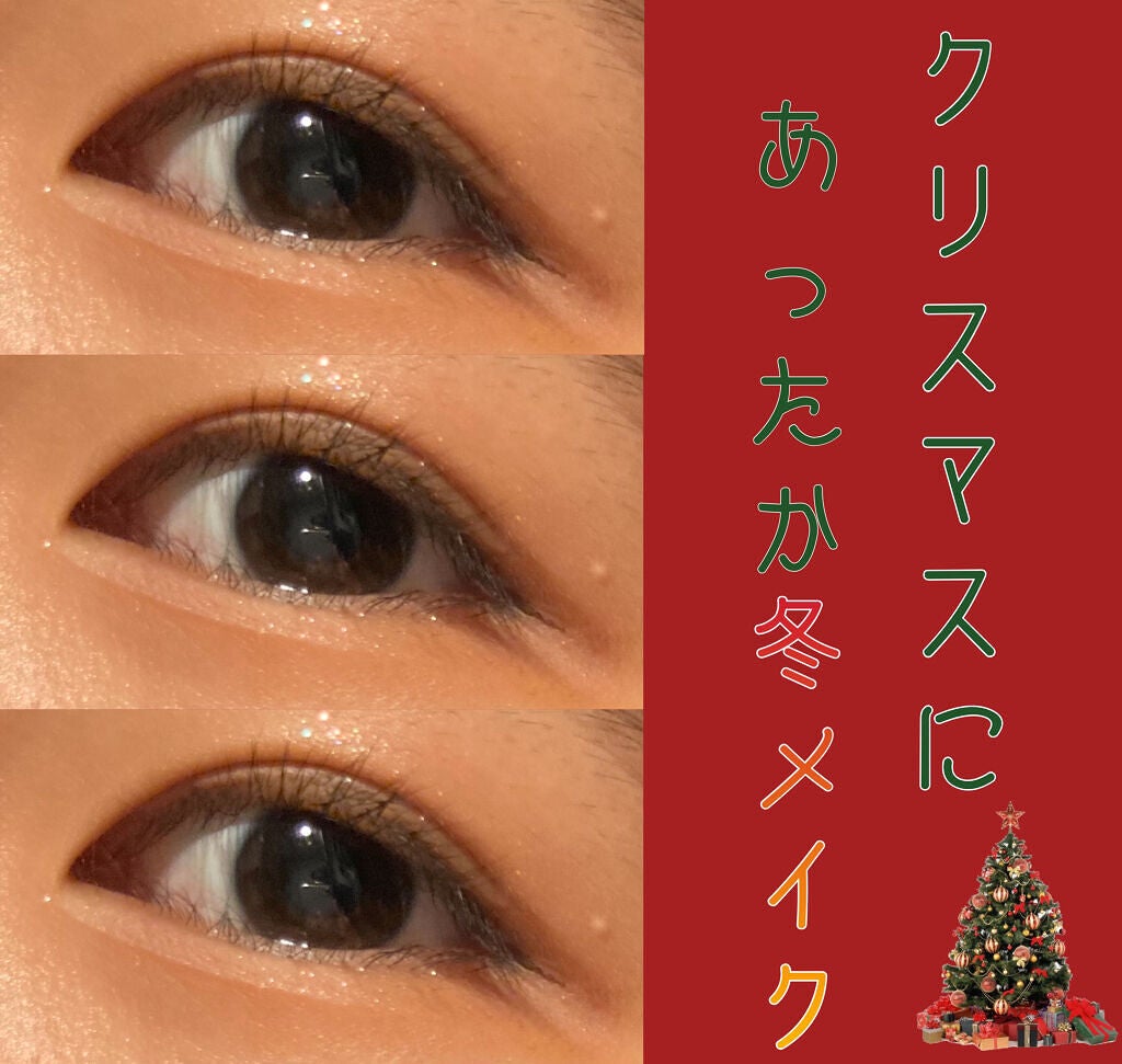 プレミアムリキッドアイライナーN ピュアブラウン