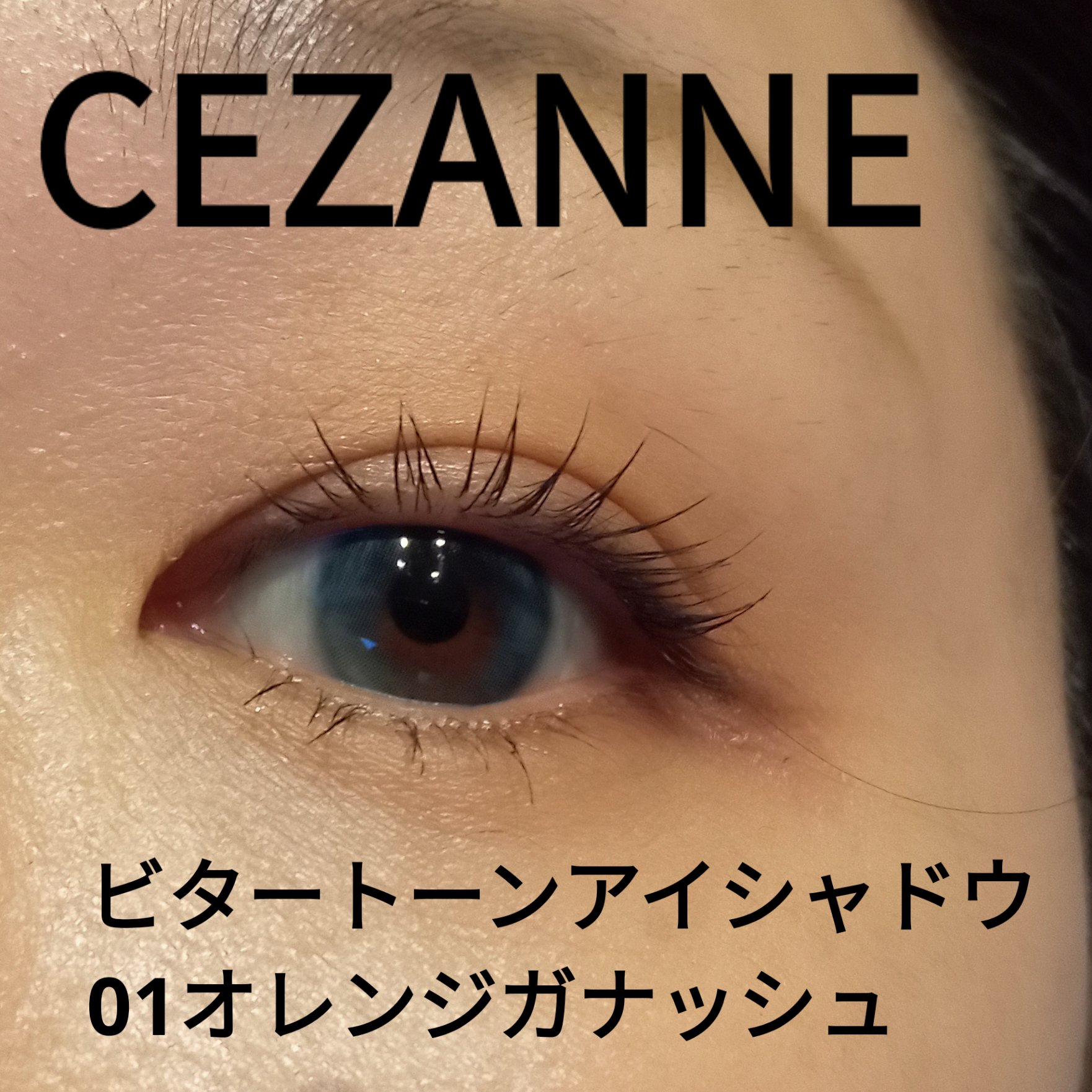 ビタートーンアイシャドウ/CEZANNE/パウダーアイシャドウを使ったクチコミ（1枚目）