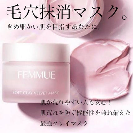 ソフトクレイ ベルベットマスク/FEMMUE/洗い流すパック・マスクを使ったクチコミ(1枚目)