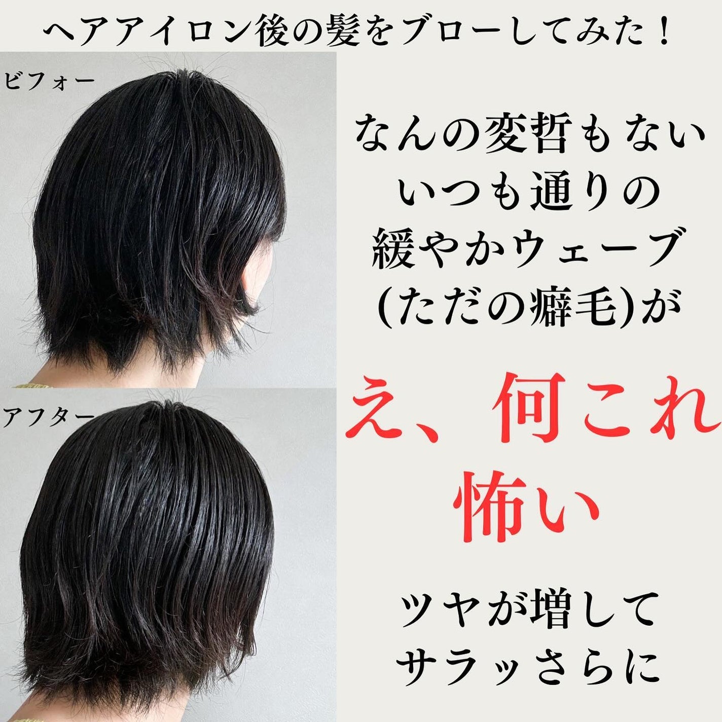 プリヴィレージュ ラ・ボーテ (MHD-1210)/mod's hair/ドライヤーを使ったクチコミ(3枚目)